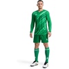 image:imageKELME Men Padded Goalkeeper Soccer Jersey Shorts Goalkeeper Kit Youth Goalie Apparel Shirt and Pants with SocksGreen